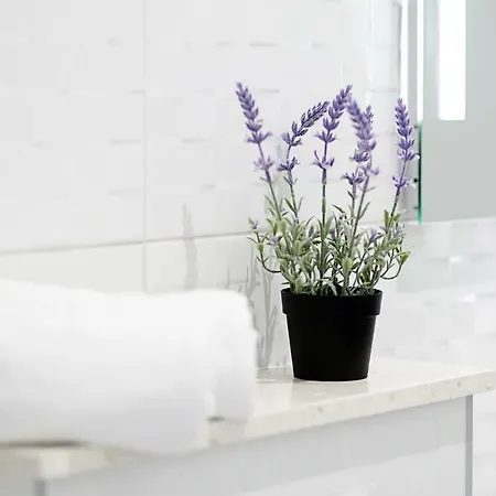 Apartamento Marinela